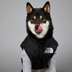 Dog Polyester Down Jacket