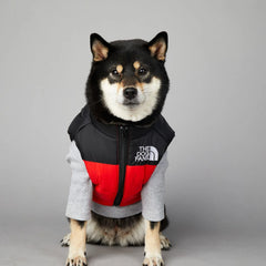 Dog Polyester Down Jacket