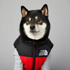 Dog Polyester Down Jacket